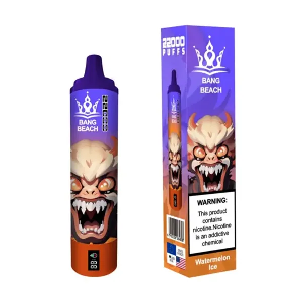 Bang 22000 puffs